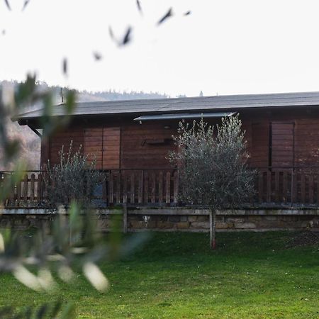 Agriturismo Ponte Di Riocchio Губбіо Екстер'єр фото